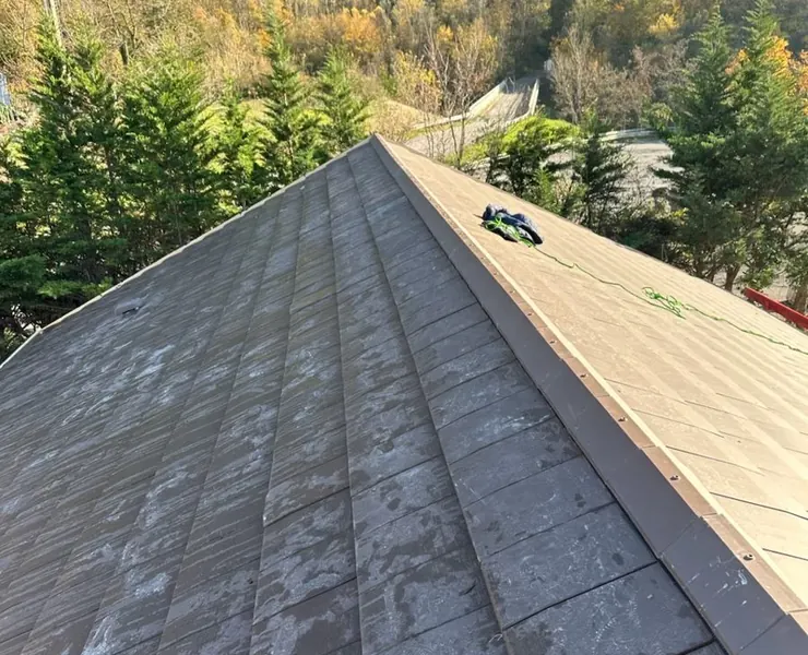 Réfection de toiture en Haute-Savoie